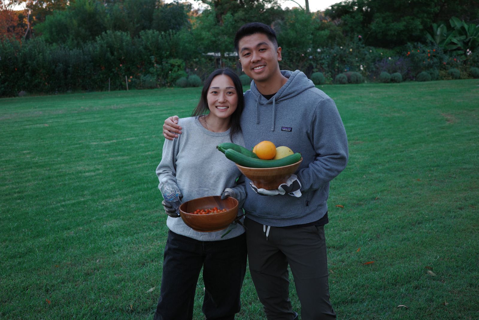 Garden harvest